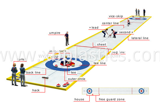 Land Curling Sheet